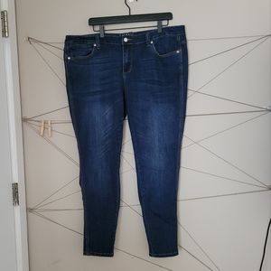 Melissa McCarthy Seven7 Jeans